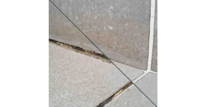 Hovedbilde Protox Fugeren komplett sett